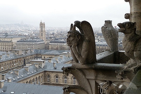 gargoyles-atop-notre-dame-cathedral-paris.jpg